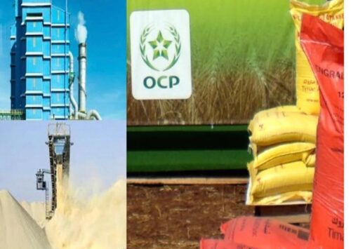 Adala UK Report on Morocco’s Digital Expansion and Resource Exploitation in Occupied Western Sahara