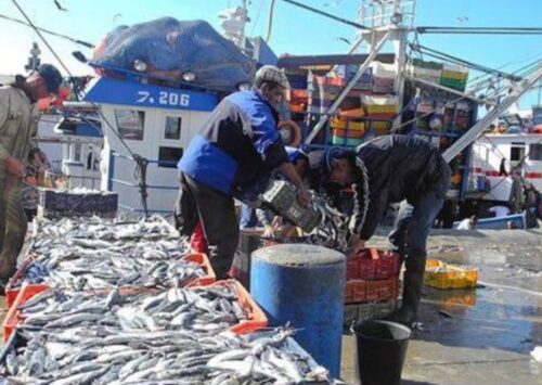 Adala UK Sends Letter to the European Commission Urging Respect for EU Court Rulings on Western Sahara